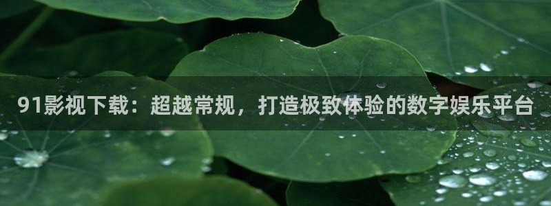 宅男视频破解：91影视下载：超越常规，打造极致体验的数字娱乐平台