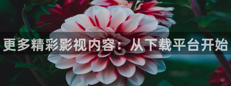 宅男视频导航大全：更多精彩影视内容：从下载平台开始
