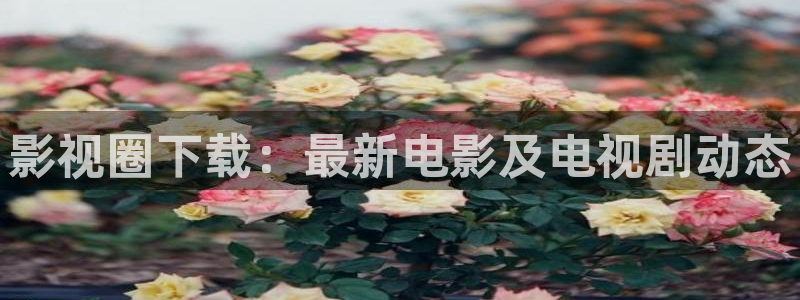 日韩宅男视频：影视圈下载：最新电影及电视剧动态