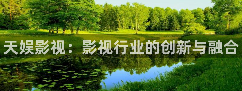 精品宅男视频：天娱影视：影视行业的创新与融合