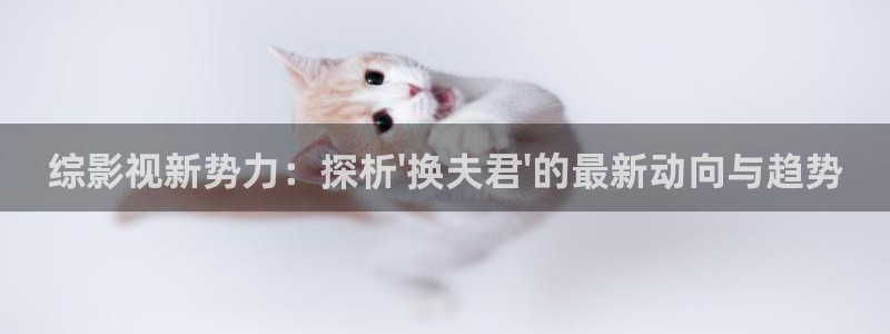 宅男视频在线网站：综影视新势力：探析\'换夫君\'的最新动向与趋势