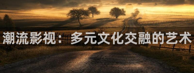 宅男视频52x：潮流影视：多元文化交融的艺术