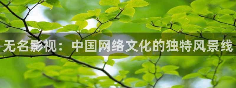 宅男视频直播：无名影视：中国网络文化的独特风景线