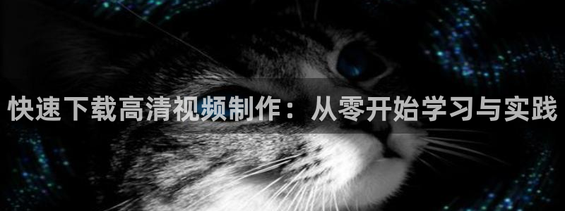 www.宅男视频：快速下载高清视频制作：从零开始学习与实践