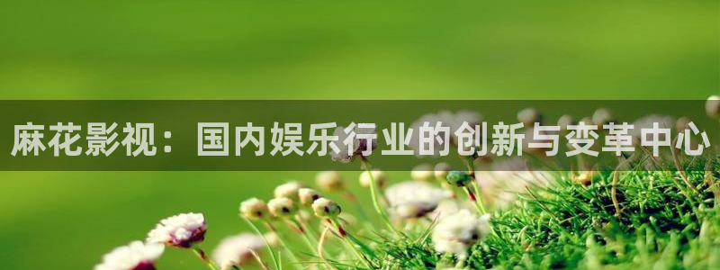 福利社宅男视频：麻花影视：国内娱乐行业的创新与变革中心