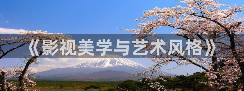 宅男视频污版：《影视美学与艺术风格》