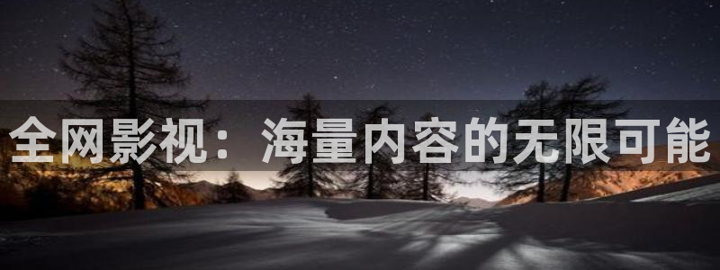 午夜宅男视频：全网影视：海量内容的无限可能