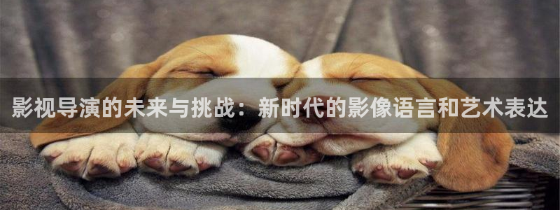 宅男视频在线观看免费：影视导演的未来与挑战：新时代的影像语言和艺术表达