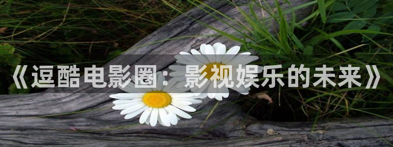 宅男视频啪啪啪：《逗酷电影圈：影视娱乐的未来》