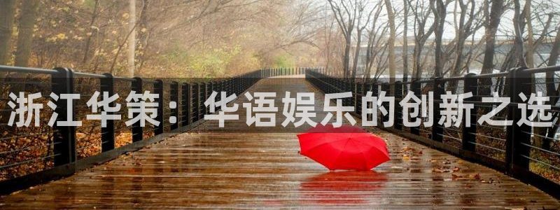 宅男视频免费播放：浙江华策：华语娱乐的创新之选