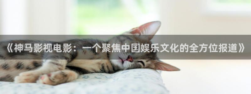 宅男视频55.3.6：《神马影视电影：一个聚焦中国娱乐文化的全方位报道》